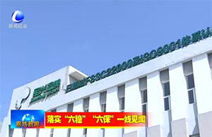 新聞采訪｜疫情下，軍興溢美如何在危機中求發(fā)展？